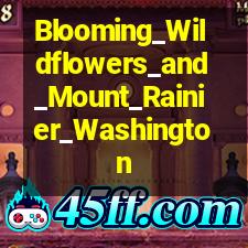 Blooming_Wildflowers_and_Mount_Rainier_Washington-900x507.jpg